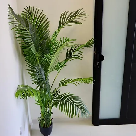 Caretta Destino 아파트