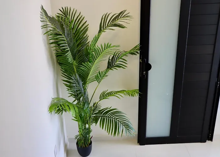 Caretta Destino Lägenhet